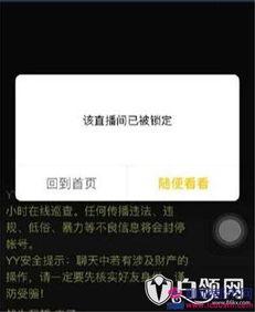 居哥最新爆料消息视频播放,最新爆料视频内容深度解析